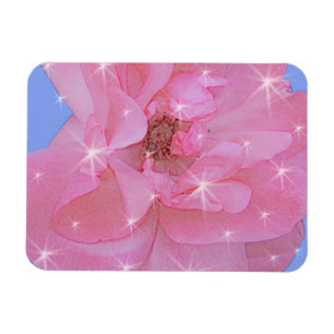 rosa Rosenblume und funkelnde Sterne Magnet