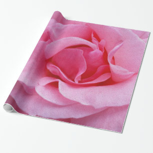 Rosa Rosenblumenblätter Geschenkpapier