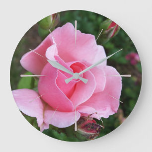 Rosa Rosenblüte Große Wanduhr