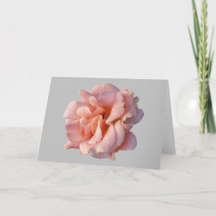 Rosa Rosenblüte Karte