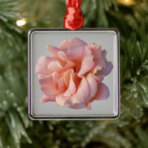 Rosa Rosenblüte Ornament Aus Metall