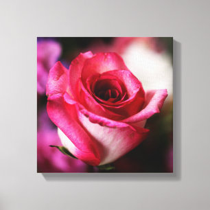 Rosa Rosenblüte Rosa Floral Leinwanddruck