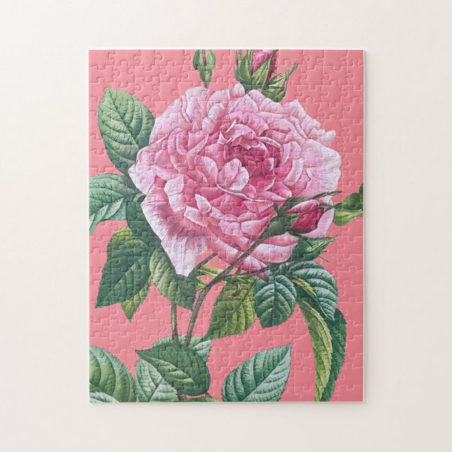 Rosa Rosenblüten mit grünen Blättern (Vertikal)
