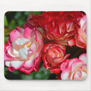 Rosa Rosenblüten Mousepad