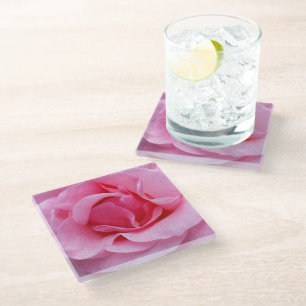 Rosa Rosenblütenblätter Glasuntersetzer