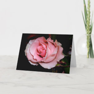 Rosa Rosenkarte Karte