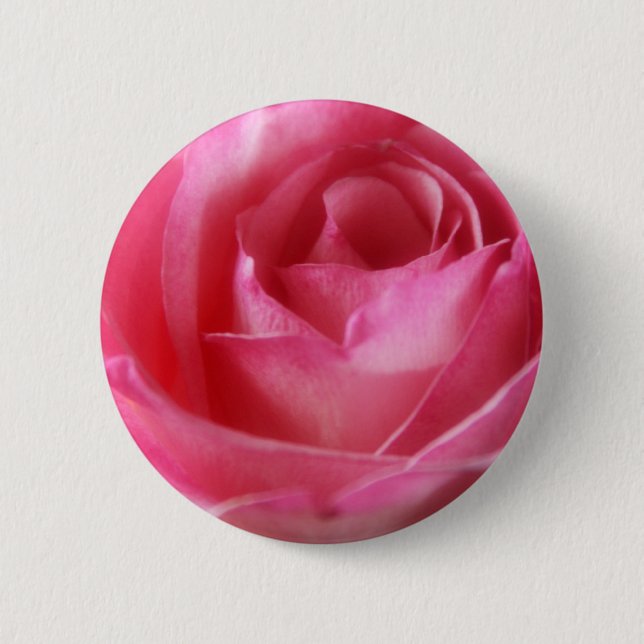 Rosa Rosenknopf Button (Vorderseite)