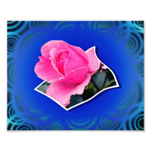 Rosa Rosenknospe-Blume außerhalb der Grenzen Art. Fotodruck