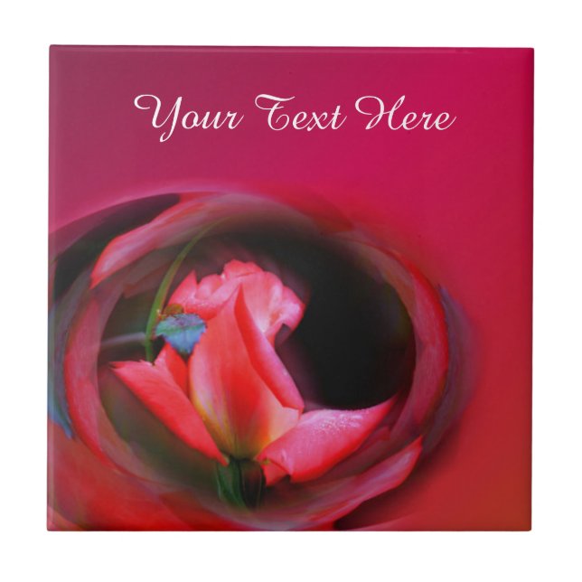 Rosa Rosenknospe Blumen Art Fliese (Vorderseite)
