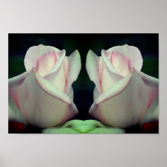 Rosa Rosenknospe Blumen Mirror Abstrakt Poster (Vorne)