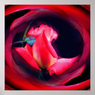 Rosa Rosenknospe florale Abstrakte Kunst Poster