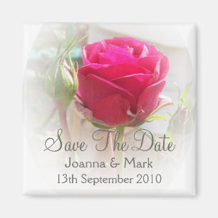Rosa Rosenknospe-Save the Date Magnet