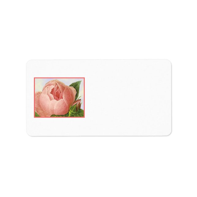 Rosa Rosenknospe Vintage Adressetiketten (Vorne)