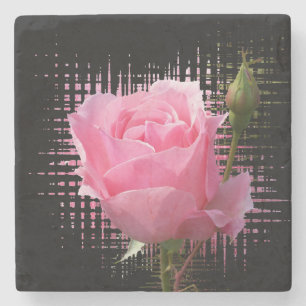 rosa Rosenspritzer Steinuntersetzer