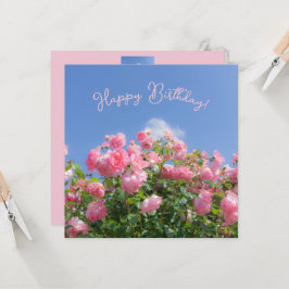 Rosa Rosenstrauch unter blauem Himmel, Brauch