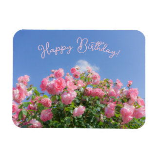 Rosa Rosenstrauch unter blauem Himmel, Brauch Magnet