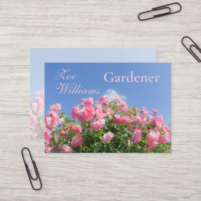 Rosa Rosenstrauch unter blauem Himmel, Brauch Visitenkarte (Vorderseite/Rückseite Beispiel)