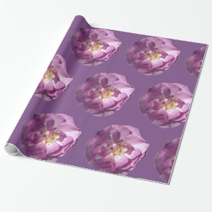 Rosa Roses glänzendes Wrapping Paper Geschenkpapier