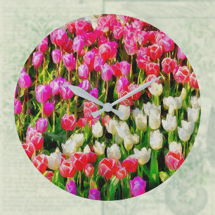 Rosa Rot und Weiße Tulpen aus dem Vernon Große Wanduhr
