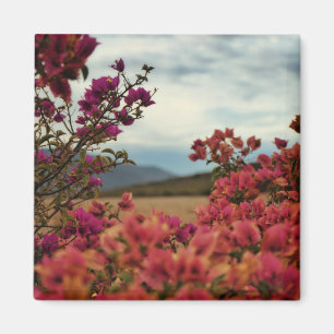 Rosa rote Bougainvillea-Blumen Landschaftsmagnet Magnet
