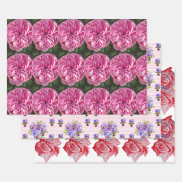 Rosa Rote Rose Rose Blume Aquarellmalerei Kunst Geschenkpapier Set