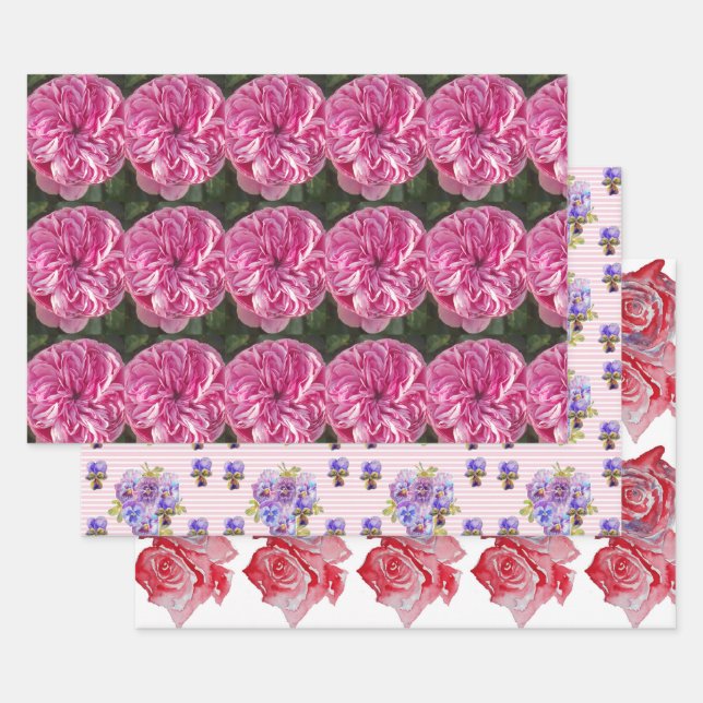 Rosa Rote Rose Rose Blume Aquarellmalerei Kunst Geschenkpapier Set (Set)