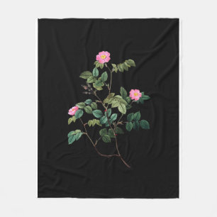 Rosa Rubiginosa Fleecedecke