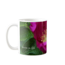 Rosa Rugosa Up-nah