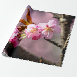 Rosa Sakura-Blume auf einem Baum Geschenkpapier