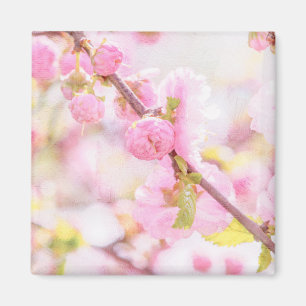 Rosa Sakura-Blume - Blüte der japanischen Kirsche Magnet