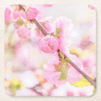 Rosa Sakura-Blume - Blüte der japanischen Kirsche