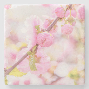 Rosa Sakura-Blume - Blüte der japanischen Kirsche Steinuntersetzer