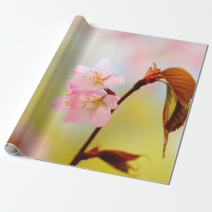 Rosa Sakura-Blume und rote Blätter Geschenkpapier