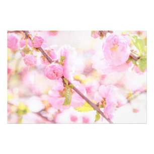 Rosa Sakura-Blüten - Japanische Kirschblüte Fotodruck
