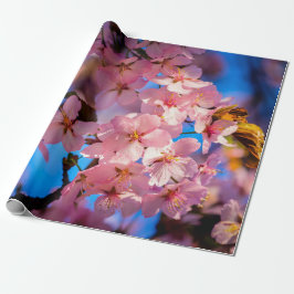 Rosa Sakura Garland, Blauer Himmel Geschenkpapier