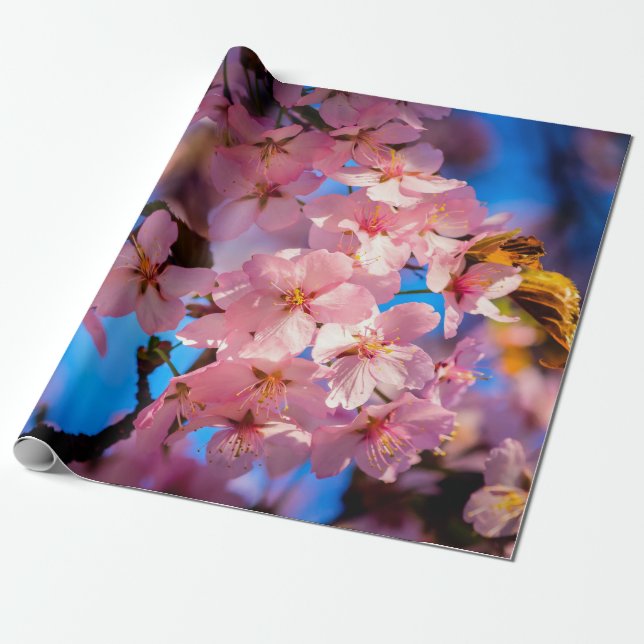 Rosa Sakura Garland, Blauer Himmel Geschenkpapier (Ungerollt)