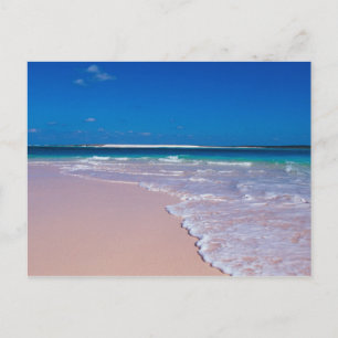 Rosa Sandstrand an der Bucht von Conch, Cat Island Postkarte