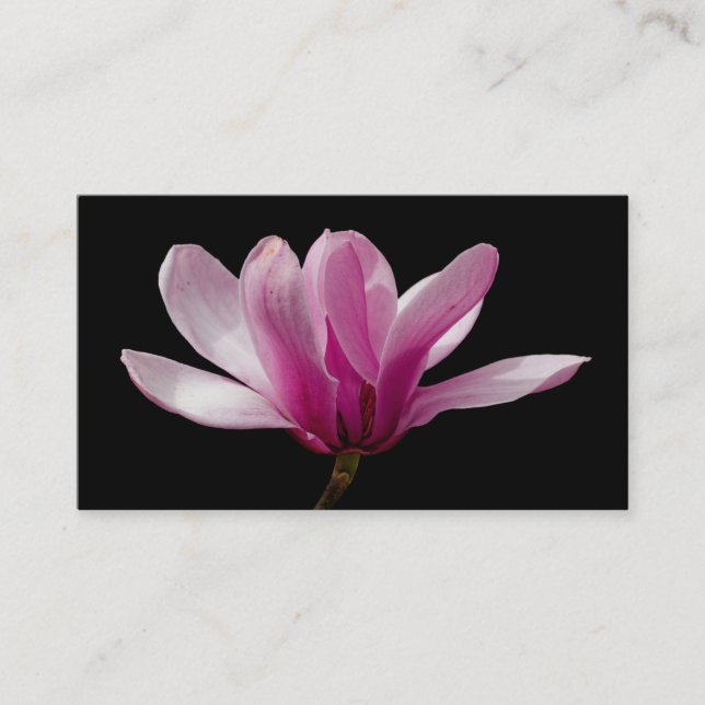 Rosa Saucer Magnolia Blüten Visitenkarte (Vorderseite)