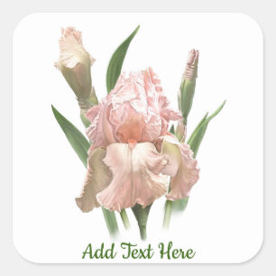 Rosa Scham Iris Quadratischer Aufkleber