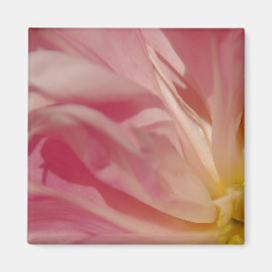 Rosa Schatten-Magnet Magnet