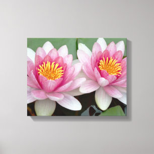 Rosa Schwimmende Wasserlilie Lotus Leinwanddruck