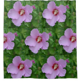 Rosa Sharon-Rose Duschvorhang