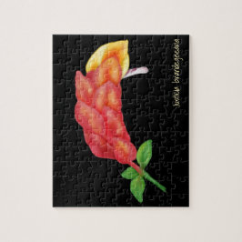 Rosa Shrimp Pflanze Blume Illustration