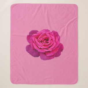 Rosa Single Rose Sherpadecke