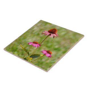 Rosa Sitzkissen Blume Tile Fliese