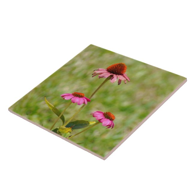Rosa Sitzkissen Blume Tile Fliese (Seite)