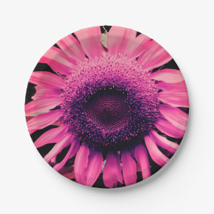 Rosa Sonnenblume Pappteller