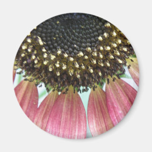 Rosa Sonnenblumenmagnet Magnet