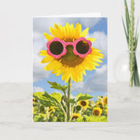 Rosa Sonnenbrille auf Sonnenblume