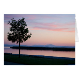 Rosa Sonnenuntergang